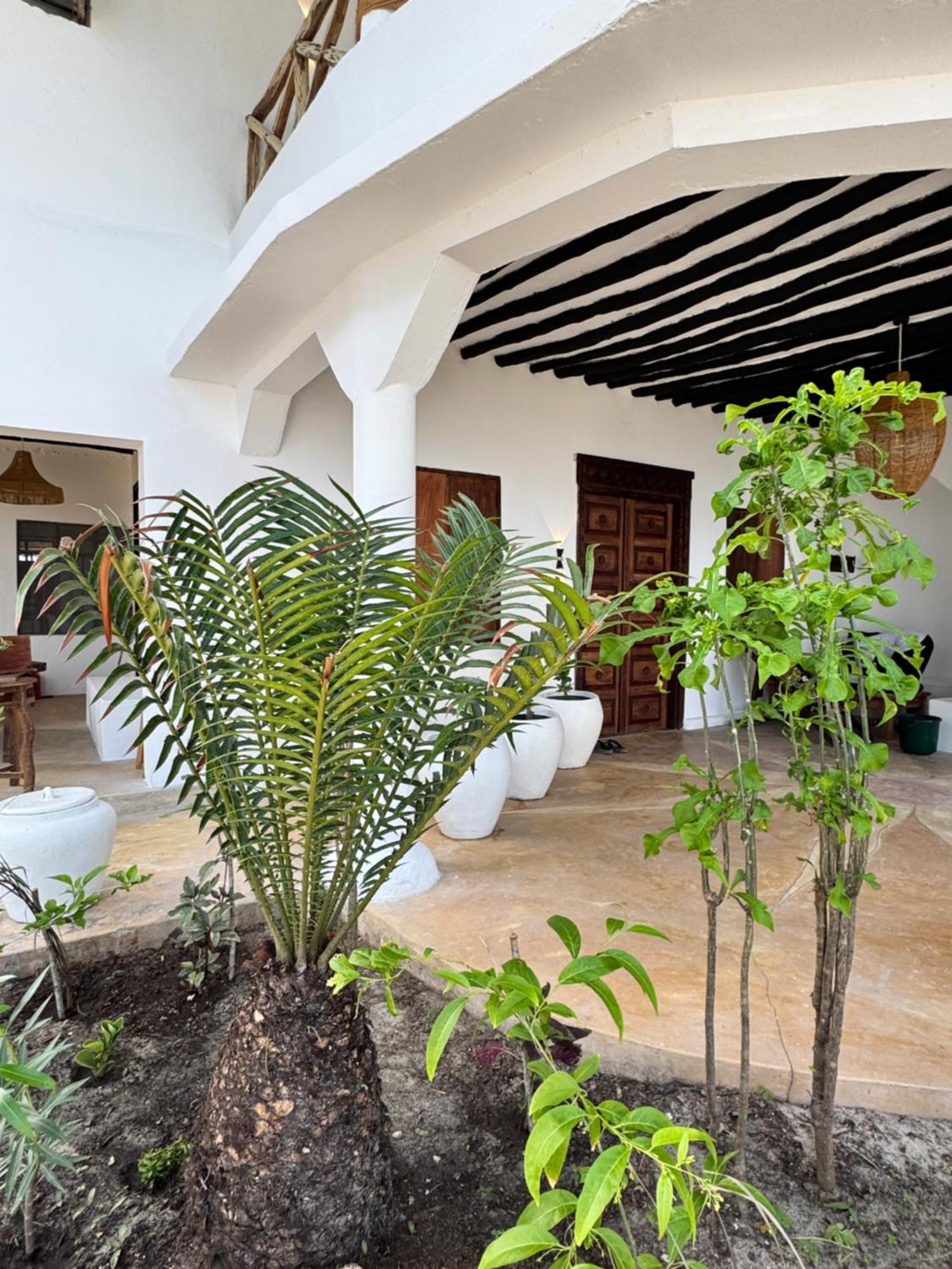 Mango Beach House Jambiani  Exteriér fotografie